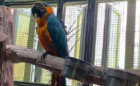 �����ҵĶ�����������15ƪ