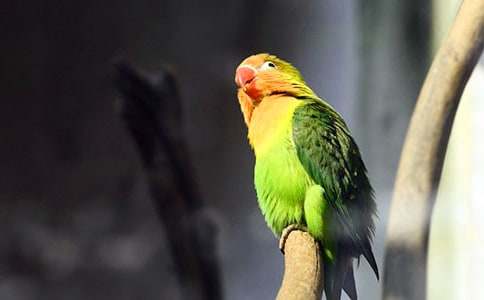 ��������������600��4ƪ