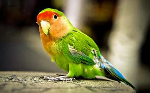 �����㡿�ҵĶ���������������