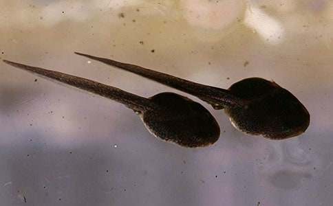 �������������15ƪ[�Ƽ�]