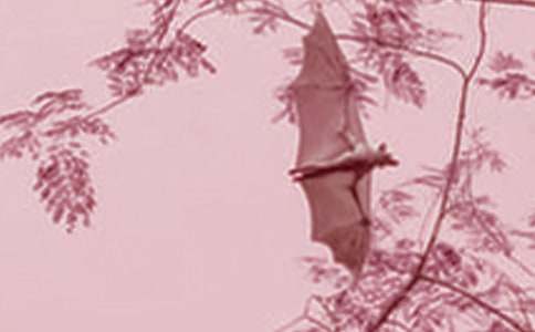 ����������ս���ˡ��ۺ��