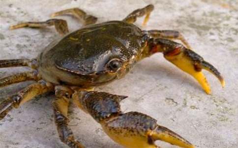 С�������з�Ĺ���˯ǰ����