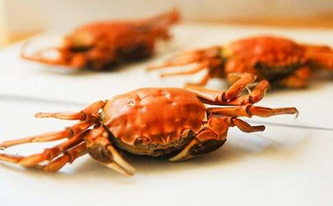 �¶���С�з�����8ƪ