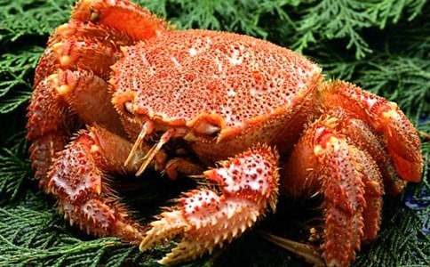 钓螃蟹作文必备【15篇】