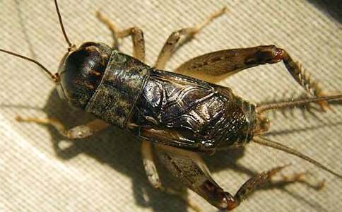 ���סլ��ѧ���(�ϼ�15ƪ)