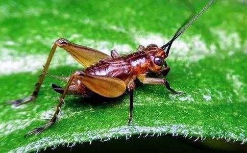 ������600�֣����4ƪ��