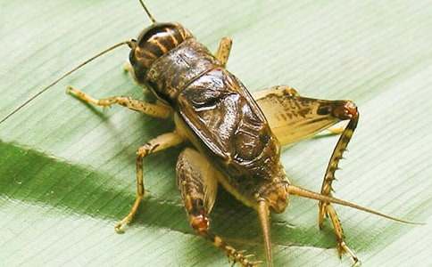 ˯ǰ���£�С���º�