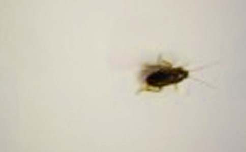 ������ռǣ�ͨ��30ƪ��