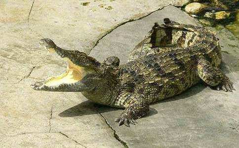 СѼ�Ƕ�����˯ǰ���£���ѡ27ƪ��