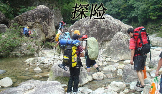 六年级森林探险作文