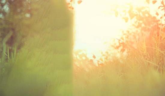 感悟人生唯美诗歌