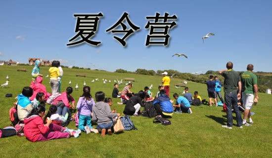 ����Ӫ������300��10ƪ[��]