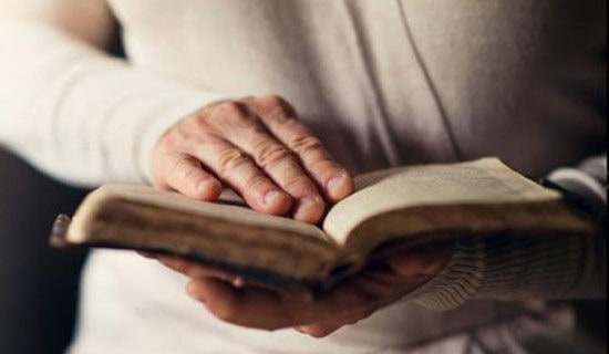 实用的亲子阅读作文锦集七篇